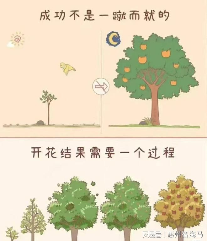 数学应用生活_芯片研发数学建模_数理化知识应用