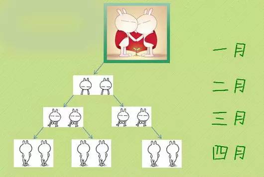 pg下载 分享一个神奇的操作系统——斐波那契+MACD，每一波都有20%以上的收益！