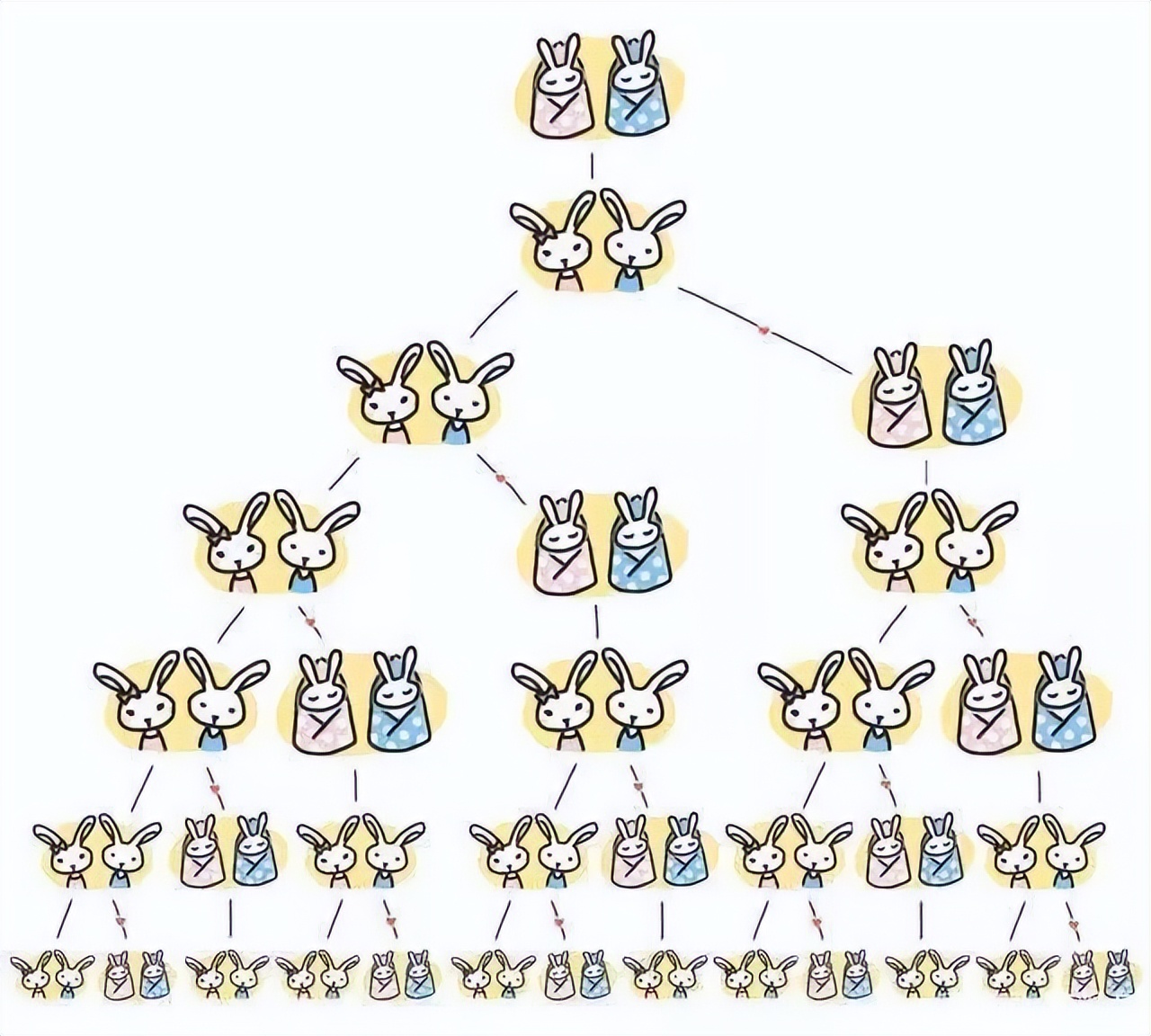 斐波那契数列在自然界中的体现_斐波那契数列生活应用_斐波那契数列与黄金分割比例