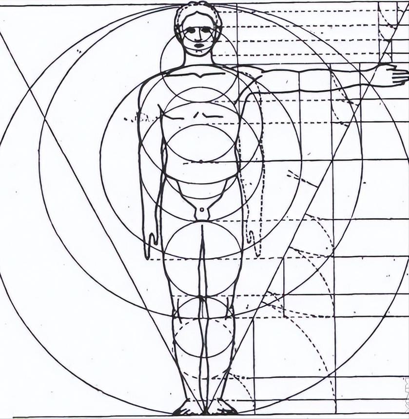 斐波那契数列生活应用_斐波那契数列在自然界中的体现_斐波那契数列与黄金分割比例