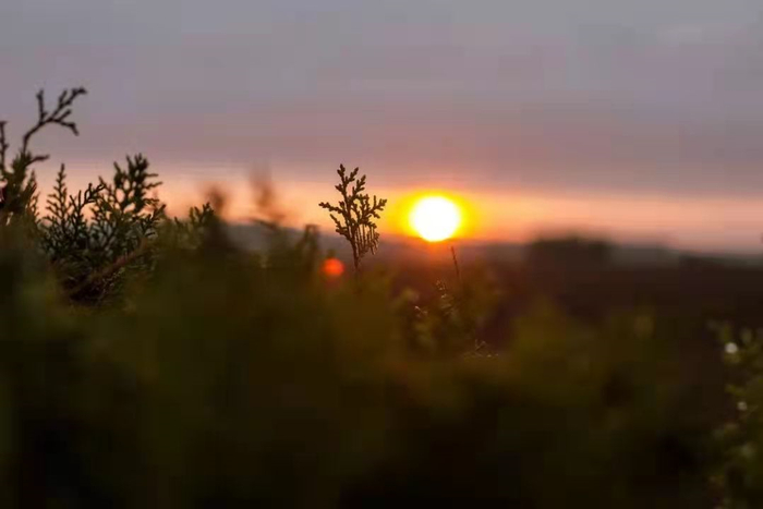 重义气的好友串门_经常来往的人是什么客_家庭兴旺的征兆