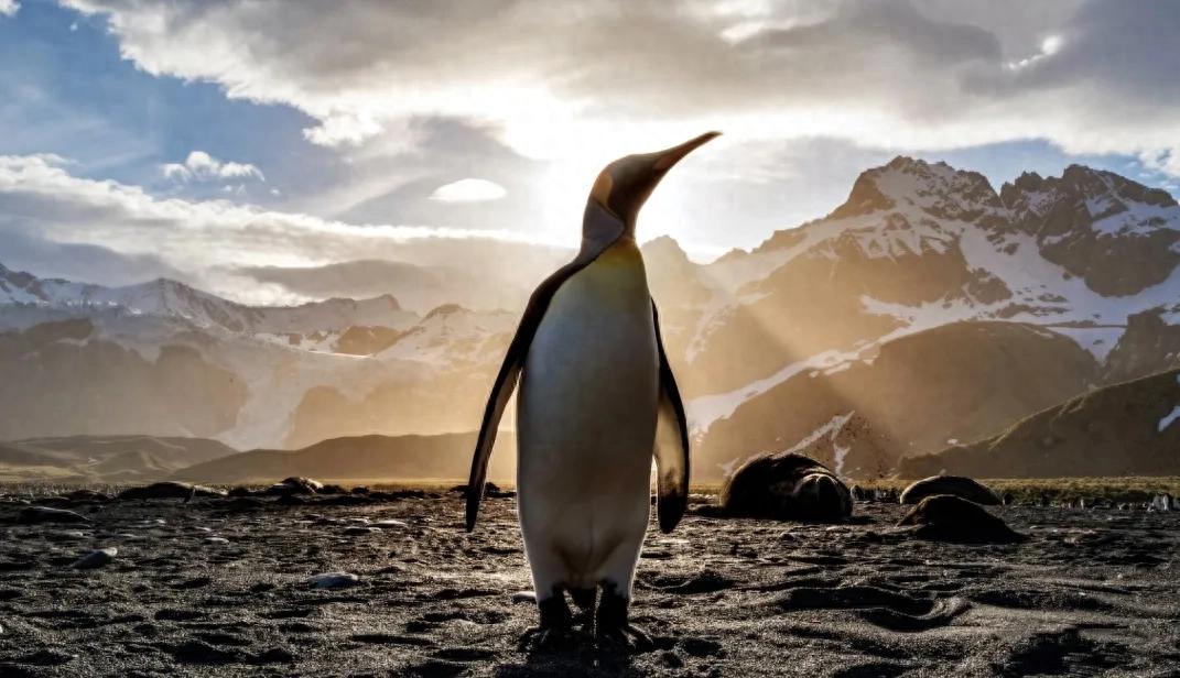 pg下载官方版打开即玩v1022.速装上线体验.中国 腾讯2025年游戏收入2416亿元，高管：“游戏是少数AI受益行业”