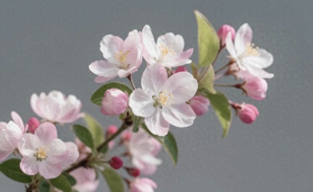 pg下载官方版打开即玩v1022.速装上线体验.中国 晚年最狠手段：不翻脸不绝交，默默疏远才是大智慧