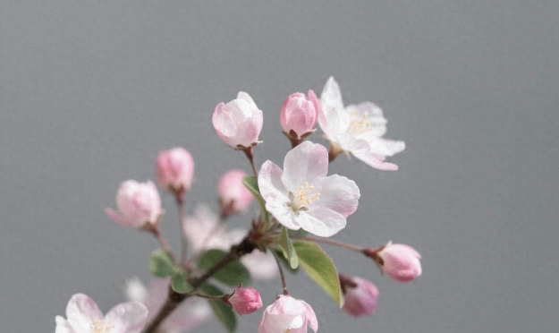 少跟他们来往中来往是什么意思_悄悄疏远亲戚的方法_晚年亲戚关系处理