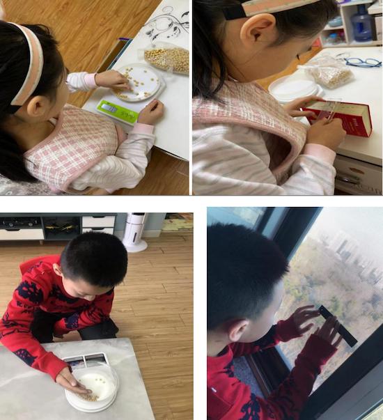 图形拼图手工小报一年级数学活动_"双减政策下潍城区青年路小学寒假数学作业实践_生活中数学应用小报