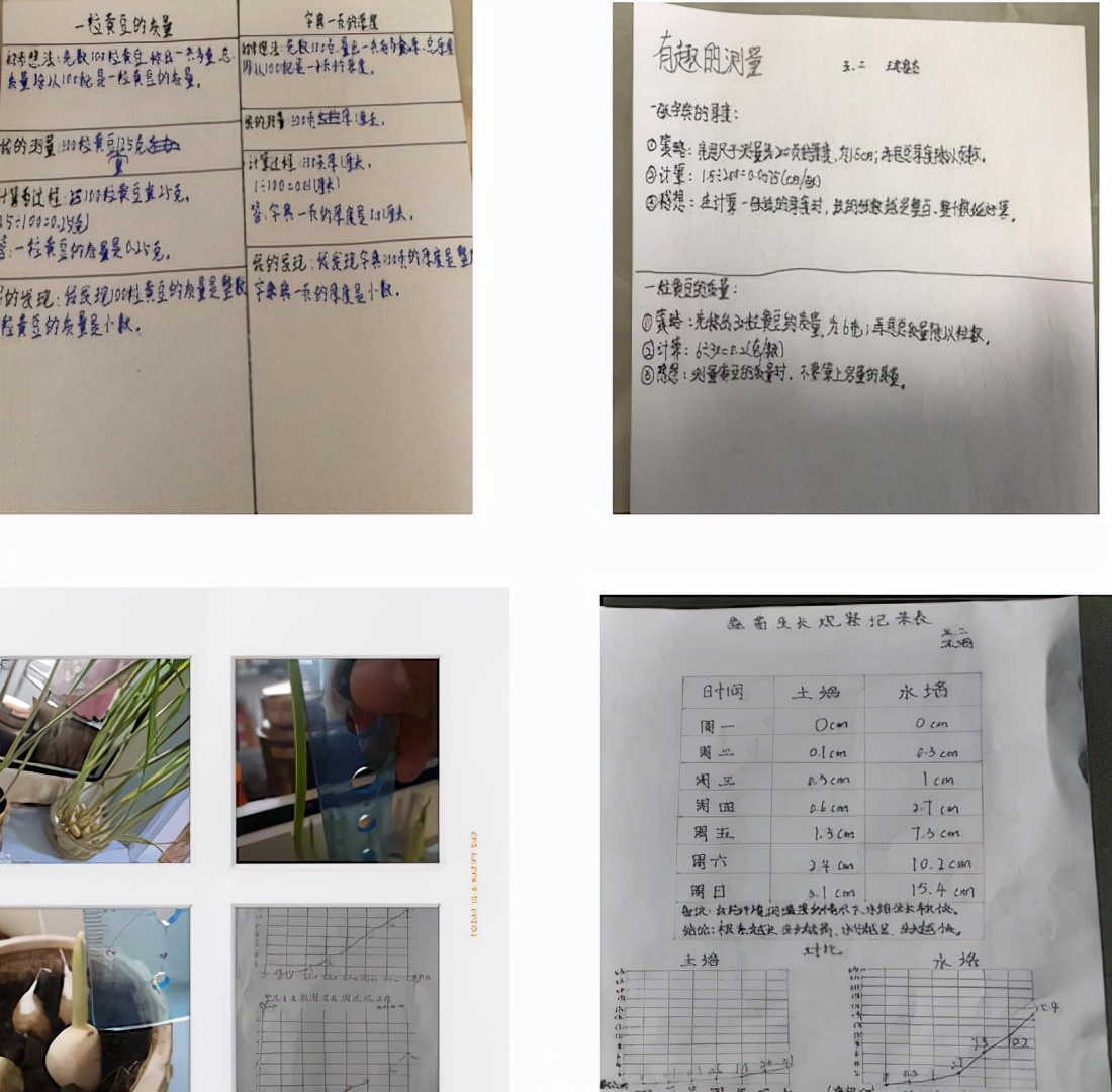 图形拼图手工小报一年级数学活动_生活中数学应用小报_"双减政策下潍城区青年路小学寒假数学作业实践